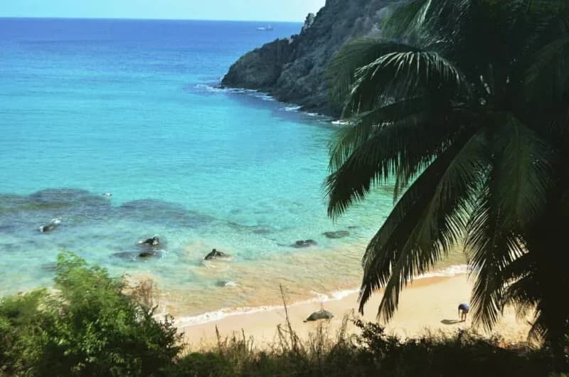 Praia do Cachorro