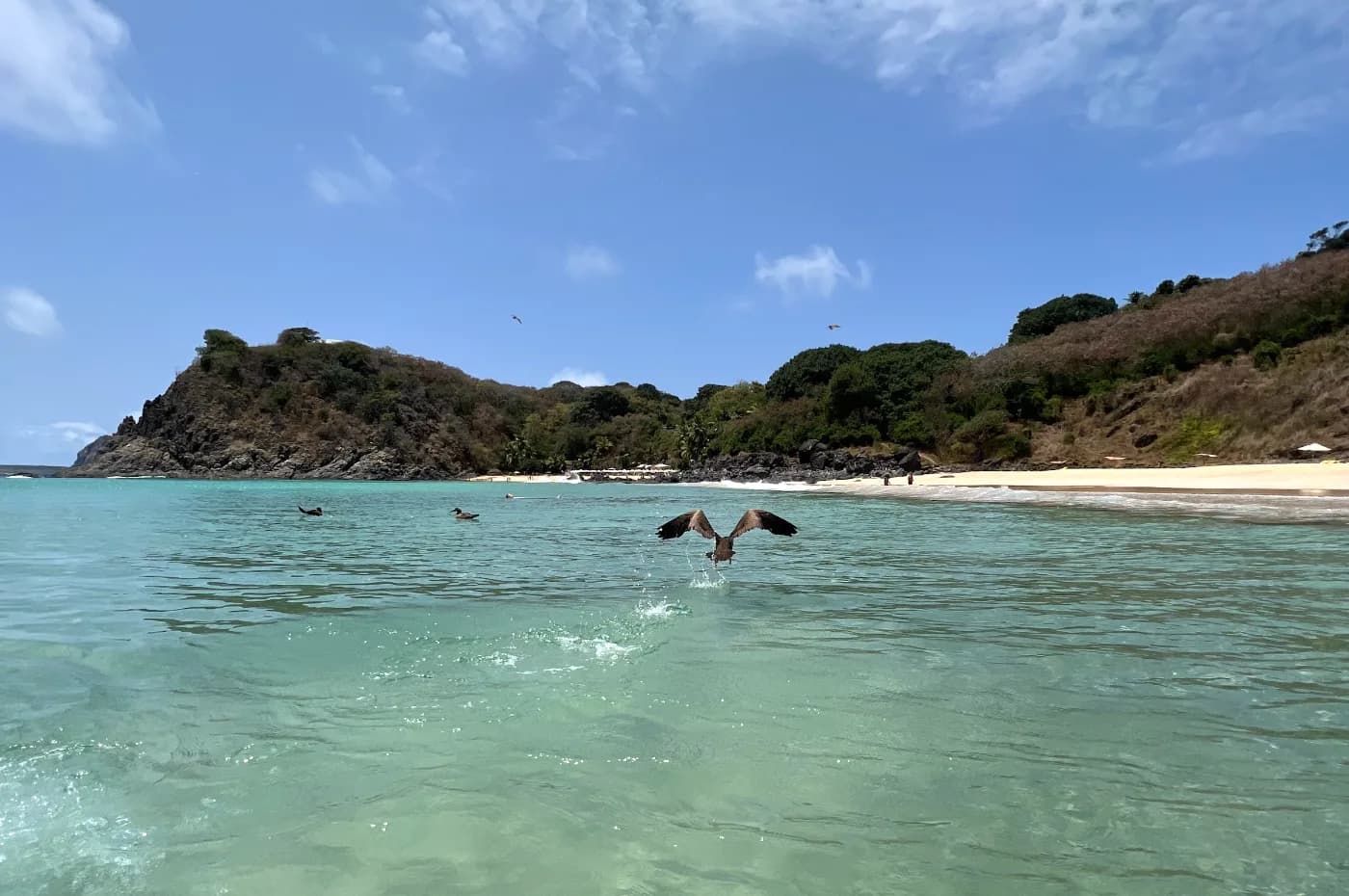 Foto de Praia do Meio