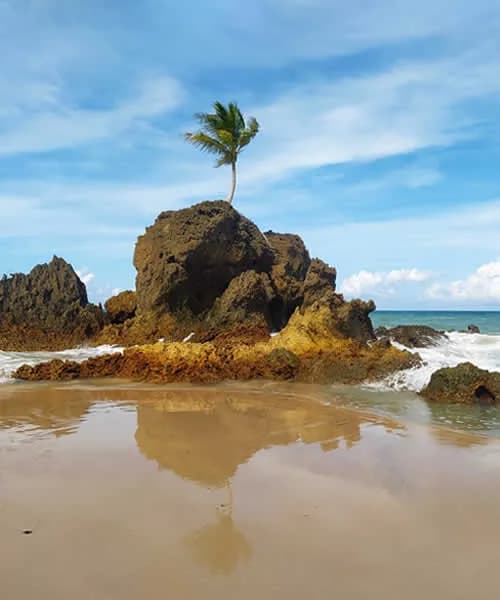 Foto de Praia de Tambaba
