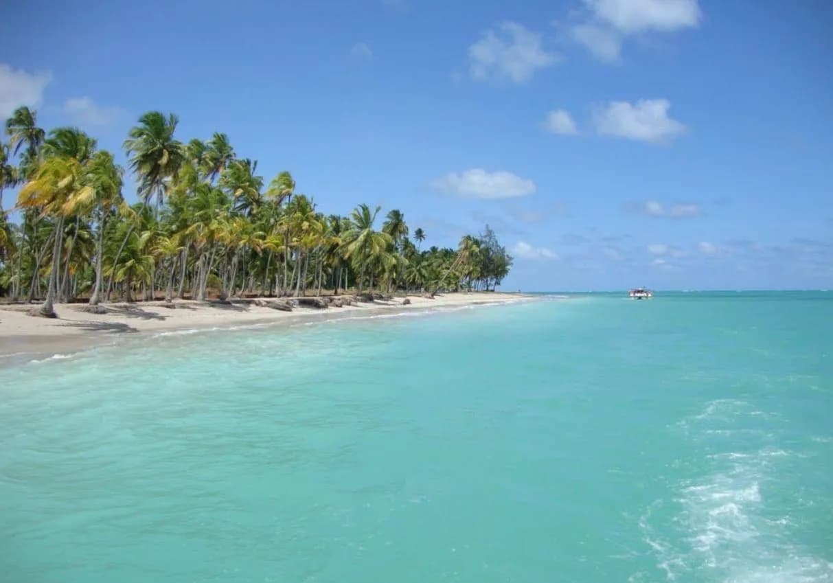 Foto de Praia de Antunes