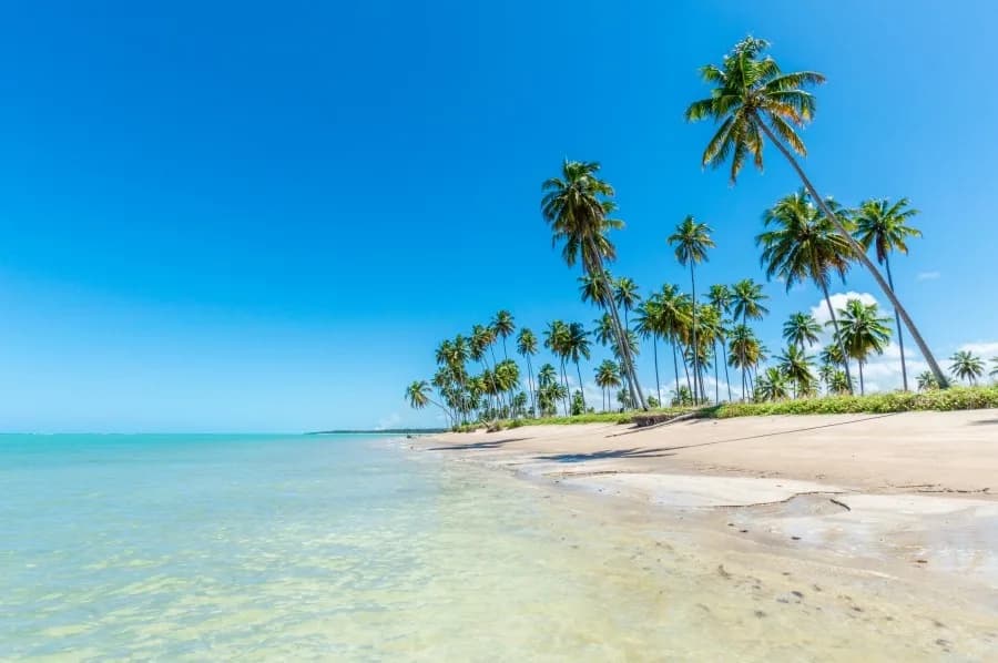 Foto de Praia do Patacho