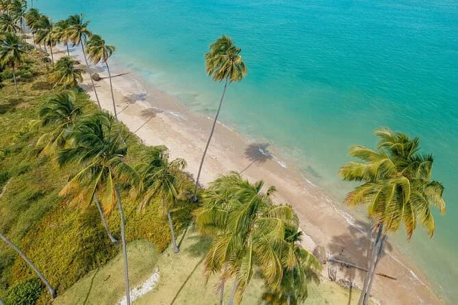 Foto de Praia do Patacho