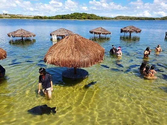 Foto de Praia do Saco