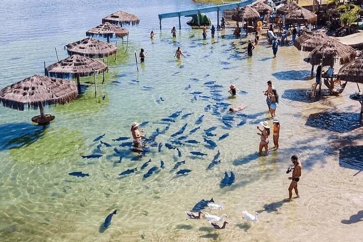 Foto de Praia do Robalo