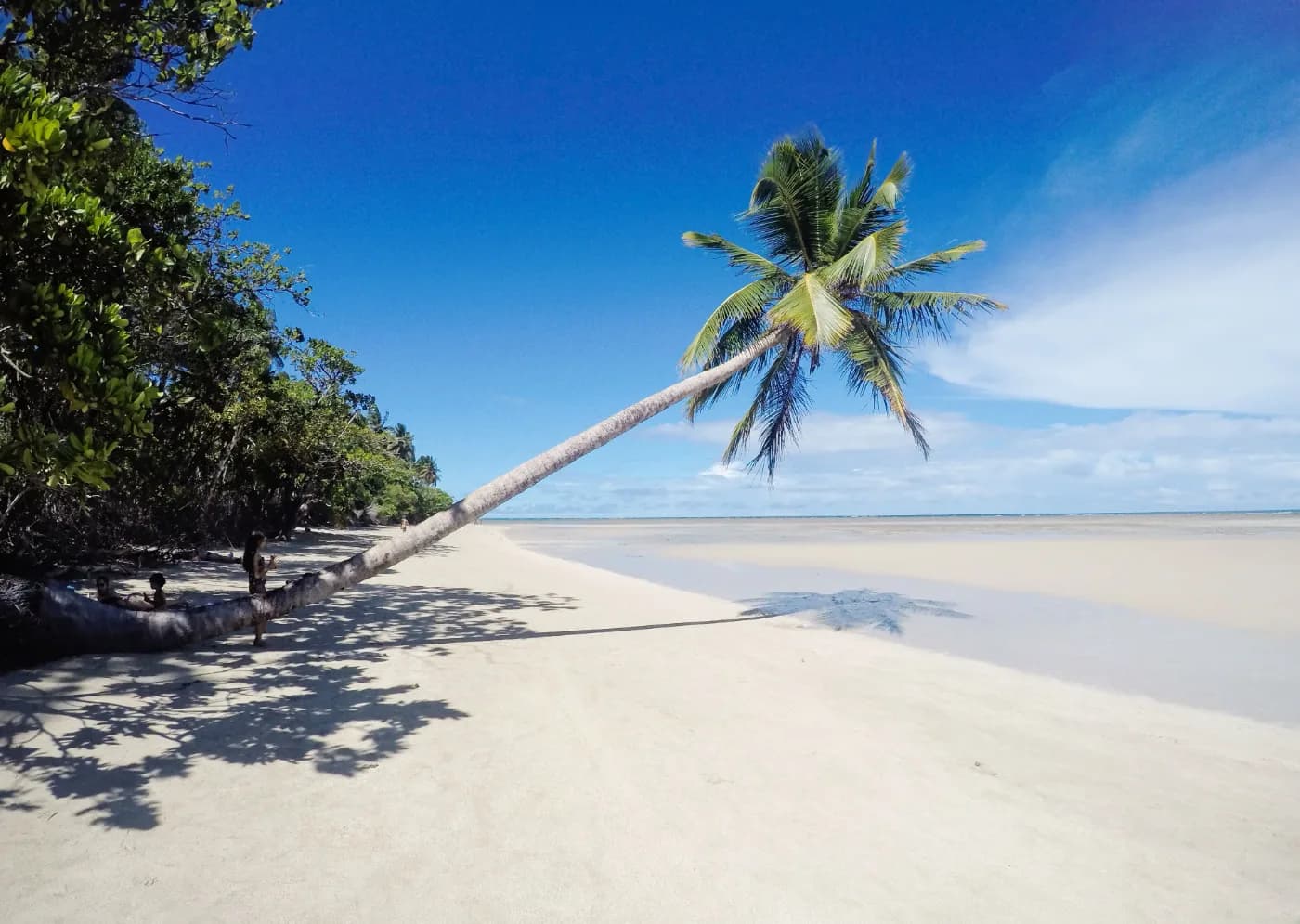 Foto de Praia de Moreré