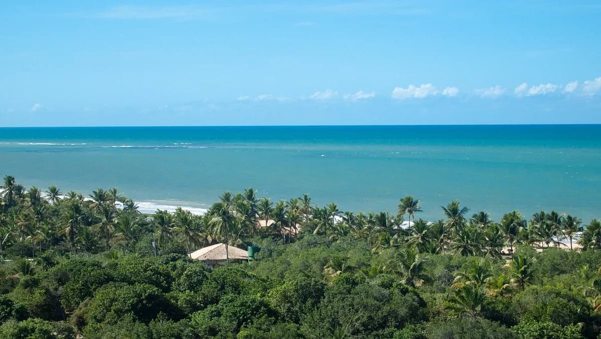 Foto de Praia dos Nativos (Trancoso)