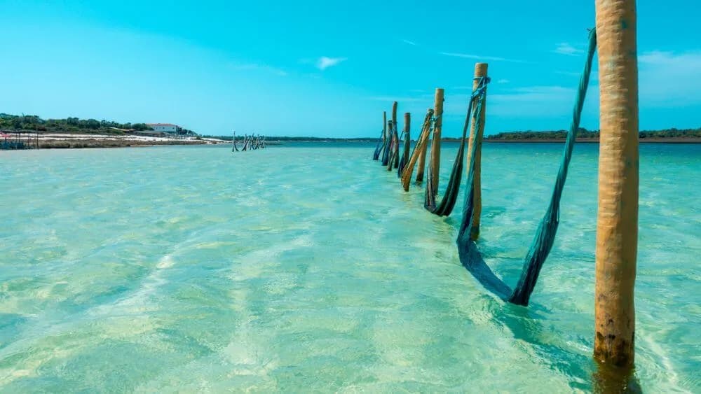 Foto de Praia de Jericoacoara
